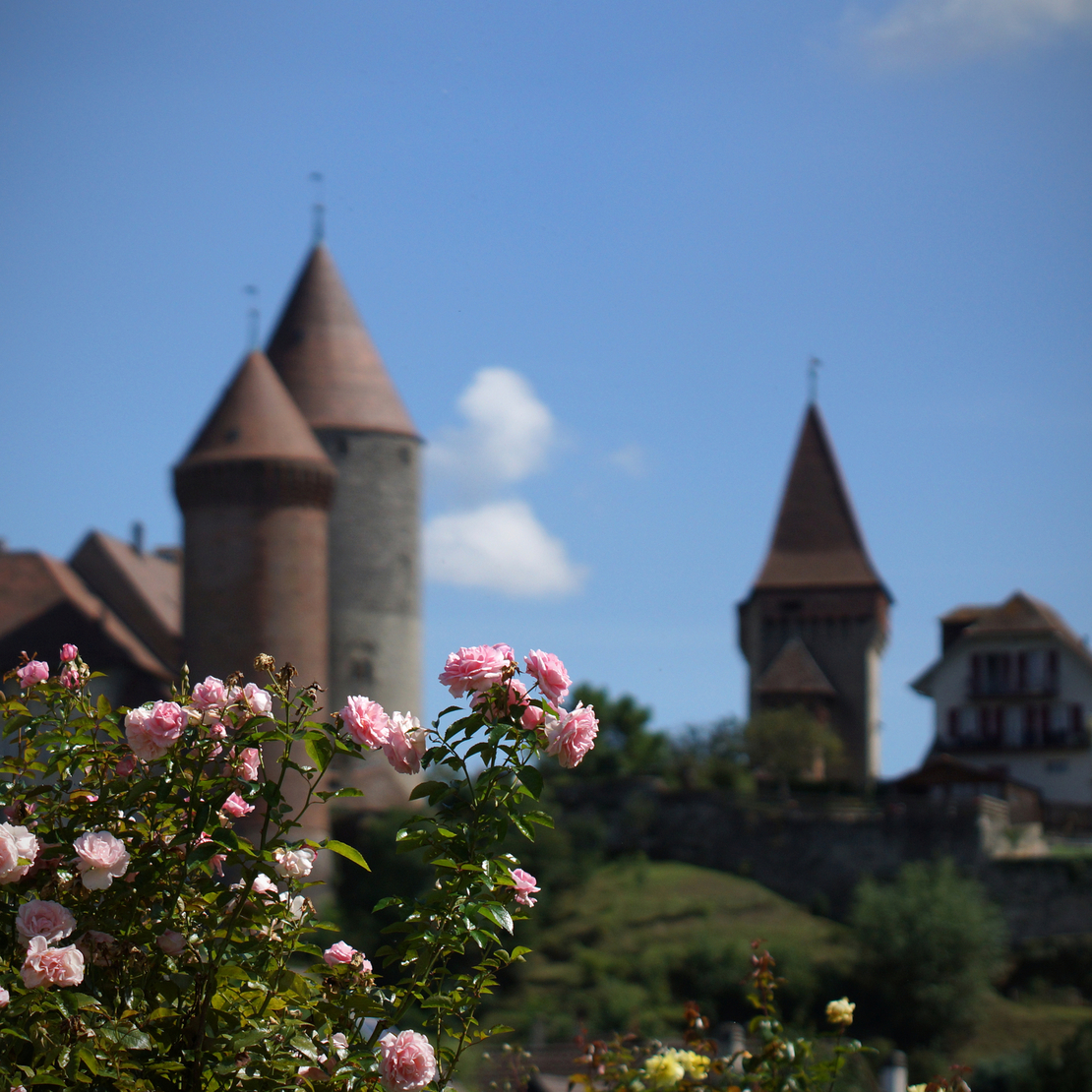 Festival des Roses 2025
